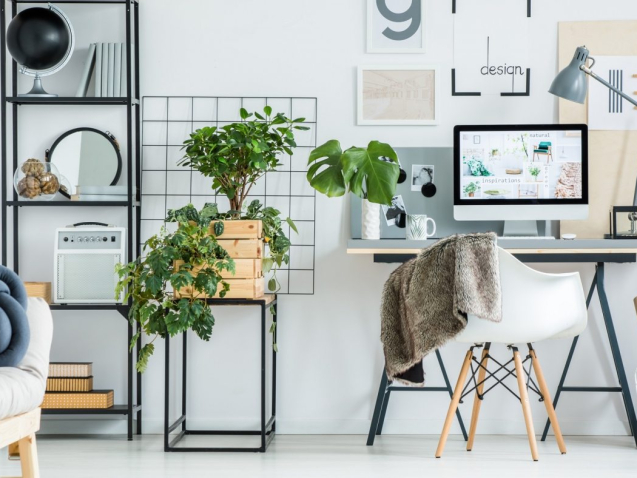 simple-home-office-with-tree-PBXRXYB-large-1400x788